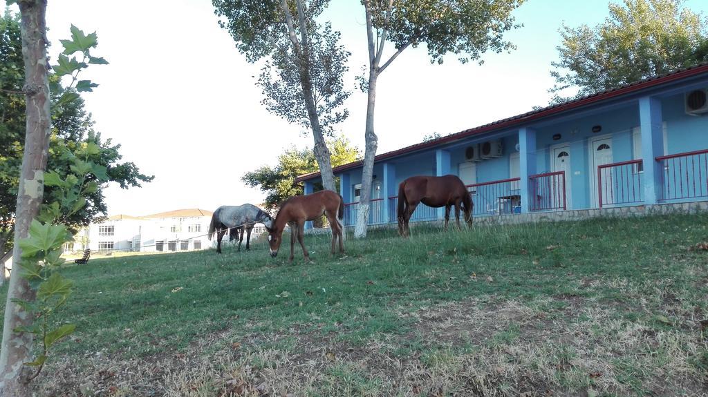 Familia Hotel Loutra Volvis Exteriör bild